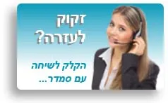 סוכן וירטואלי לאתרי אינטרנט